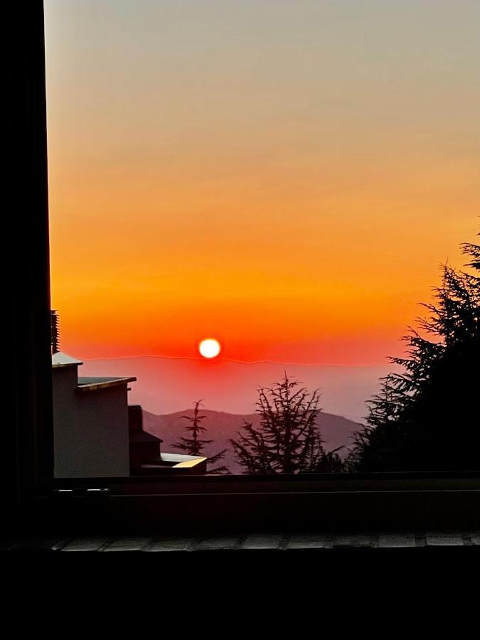 Warehouse Sierra Nevada Daire Dış mekan fotoğraf